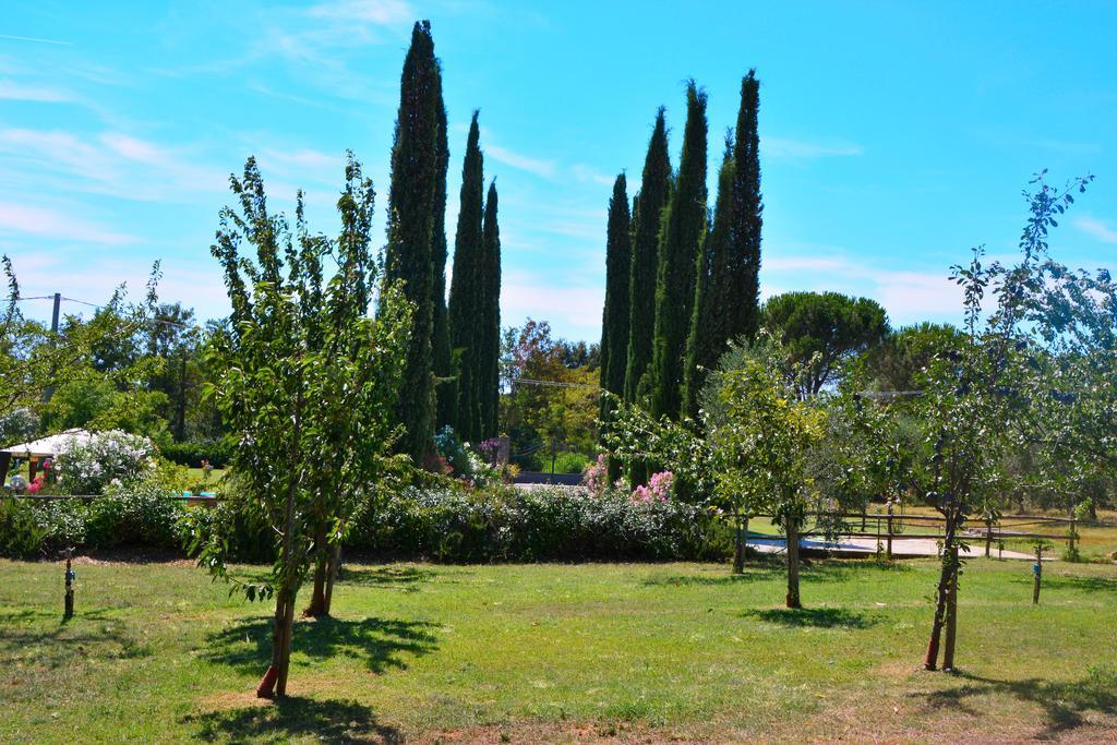 Agriturismo L'Aquilone Маляно ин Тоскана Екстериор снимка