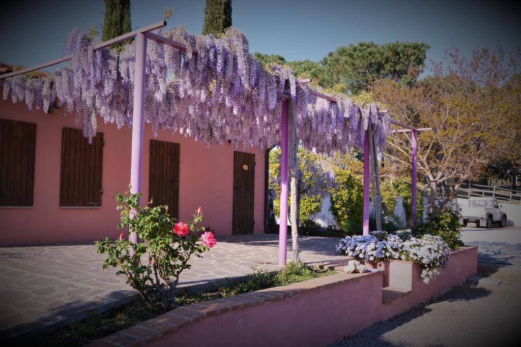 Agriturismo L'Aquilone Маляно ин Тоскана Екстериор снимка